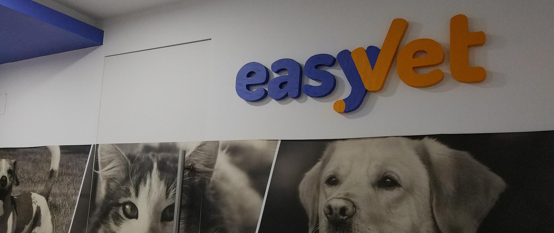 Easyvet Serviços veterinários na clínica e ao domicílio